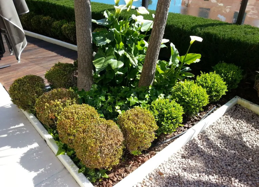 Massif fleuri avec arbustes taillés