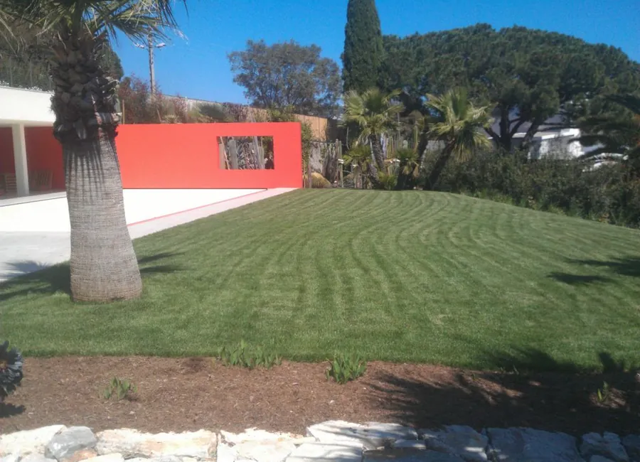 Pelouse verte entretenue dans un jardin paysager