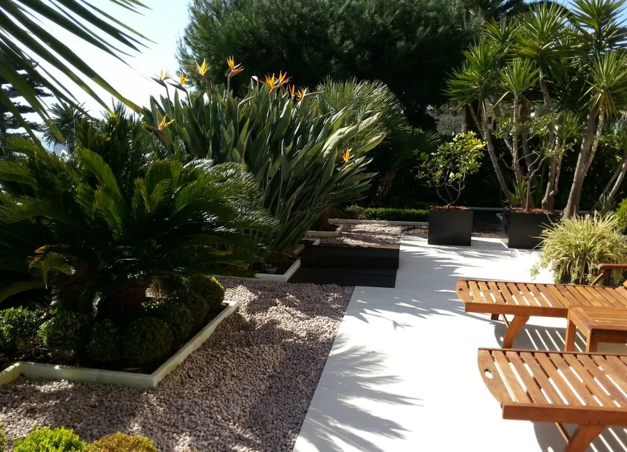 Terrasse en bois au cœur d'un jardin de palmiers
